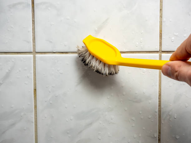 Best Residential Mold Removal  in Maple Valley, WA