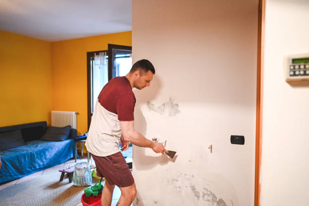Maple Valley, WA Mold Removal Company